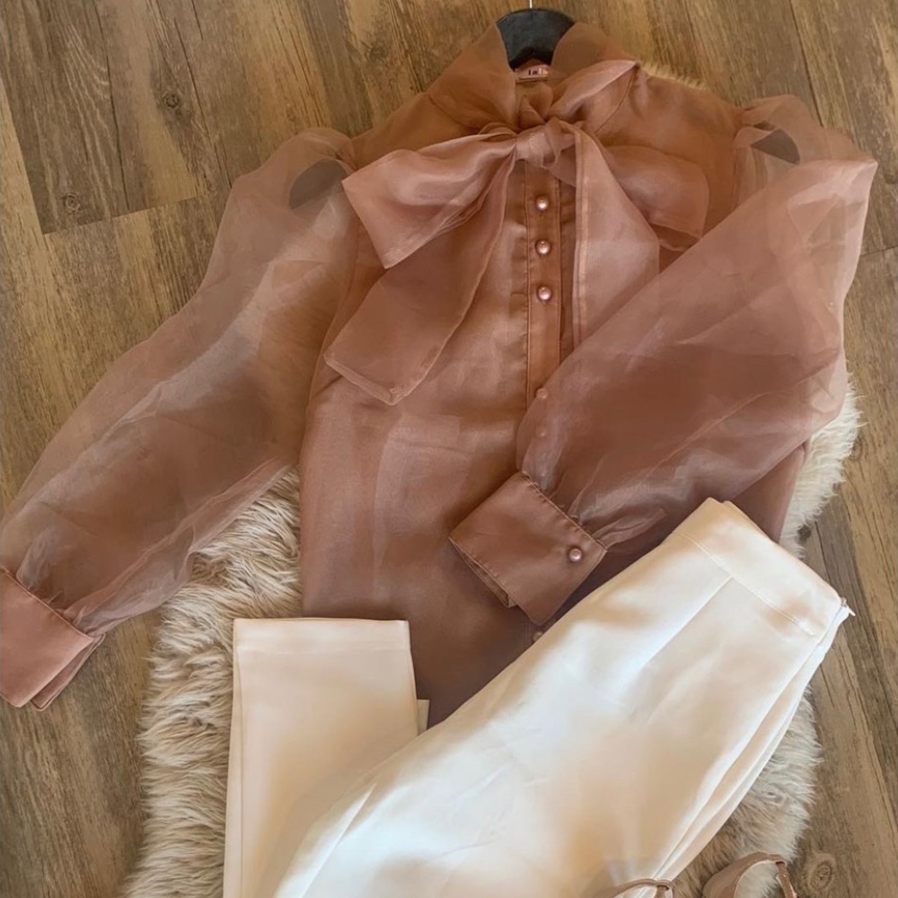 Chic Nude Organza blouse